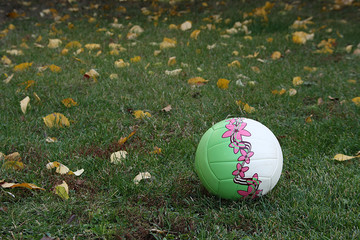 White, green ball with pink flowers on a green grass lawn with yellow leaves