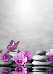 Beautiful flower, butterfly and stone zen spa on grey background.