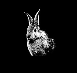 Artfully and ornate image of an animal in black and white colors optics