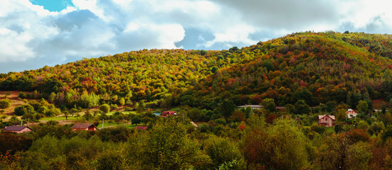 Autumn rural scene