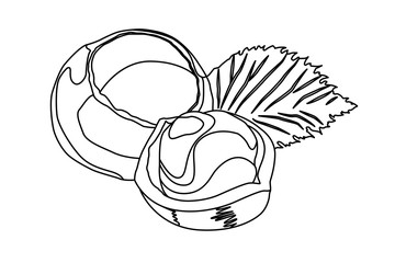 nut contour vector illustration isolated