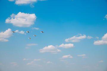 The plane makes a maneuver. Airplane in the sky - Passenger Airliner / aircraft