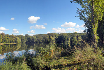 die jungfernheide