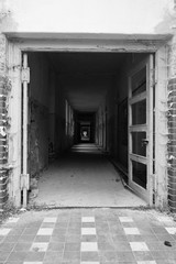 Endless gangway