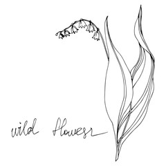 Vector Wildflowers floral botanical flowers. Black and white engraved ink art. Isolated flowers illustration element.