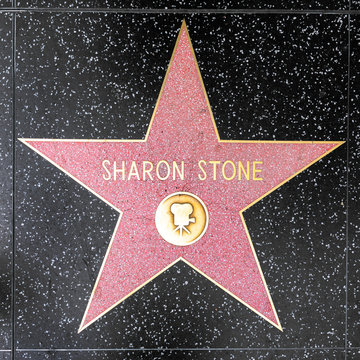 closeup of Star on the Hollywood Walk of Fame for Sharon Stone