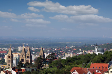 Fototapeta na wymiar The Cathedral of Pecs towers cityscape Pecs Hungary