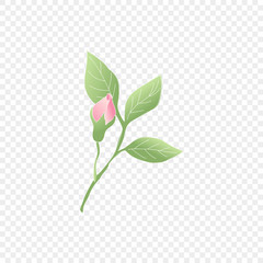 Fototapeta premium Isolated pink flower. Vector floral