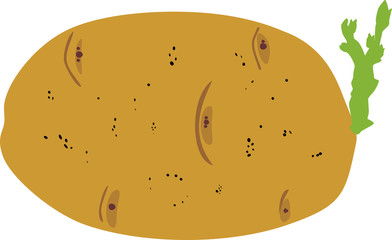 Sprouted potato tuber in flat style