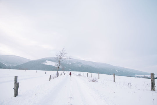 Girl on a hike in snow covered nature