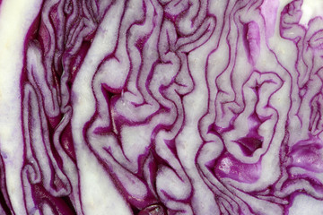 Obraz premium Cavolo rosso, Red Cabbage