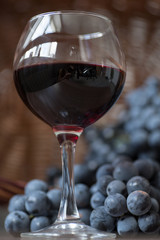 A glass of fragrant red wine and bunches of blue grapes