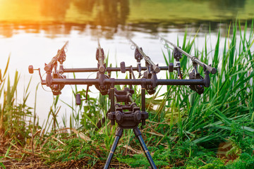 carp fishing rods