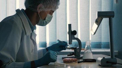 Laboratory assistant checks the quality of meat in a laboratory with a microscope