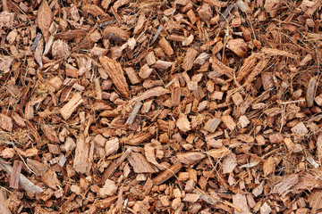 Coconut Husk Chips background ,Use for Planting material