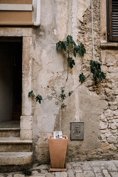 Streets of Rovinj