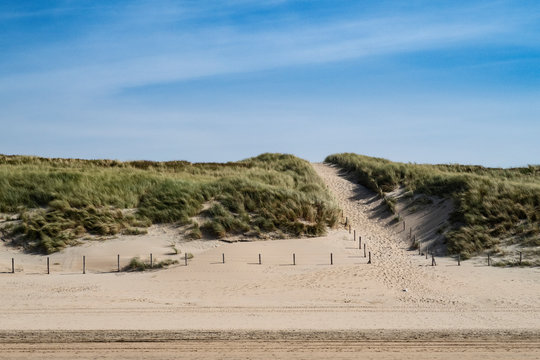 Dunes in Zandvoort aan Zee/Netherlands