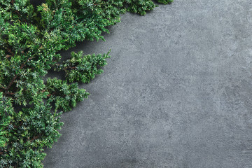 Christmas background with border of fluffy green fir branches on a textured dark gray background