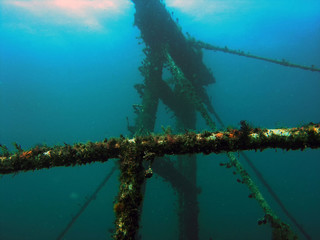 Naklejka premium The wreck of the Lena in Bunbury, Western Australia