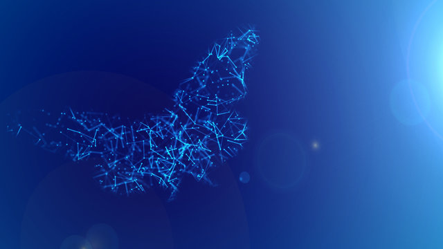 Copy space of abstract background with butterfly growth evolution transformation concept present develop in leadership management change in digital finance business innovation technology disruption