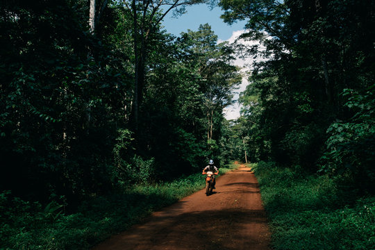 Jungle Rider