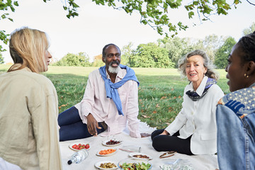 Picnic diverse group senior friends park.
