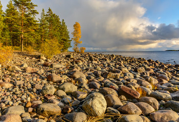 Obraz premium Kajosaari island, lake Ladoga, Karelia, Russia.