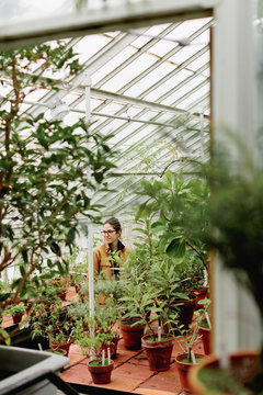 Girl wandering in botanical greenhouse