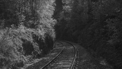 Fototapeta premium Railway track over valley in color autumn morning in national park Sumava