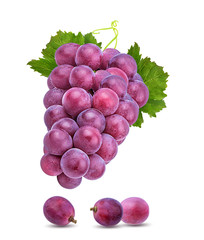 Fresh purple grapes isolated on white background with clipping pass