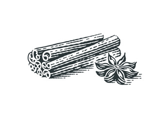 Spice. Anise and cinnamon. Hand drawn engraving style illustrations.