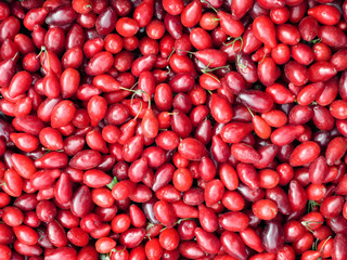 Red fresh dogwood berries on the market.