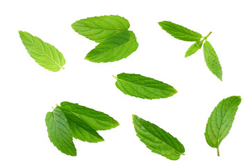 Naklejka na ściany i meble Fresh mint leaves isolated on white background. top view