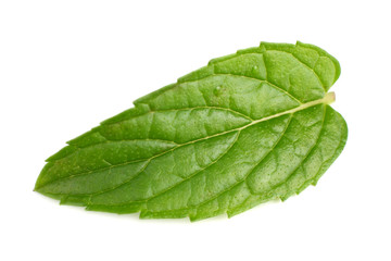Obraz premium single fresh mint leaf isolated on white background