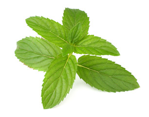 Fresh mint leaves isolated on white background. top view
