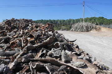 Fototapeta na wymiar Cork, Cork pieces. (quercus suber) Many pieces from the cork oak bark, natural raw material, ready to transportation and further processing. Portugal, Alentejo, near Mertola