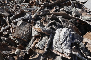 Cork, Cork pieces. (quercus suber) Many pieces from the  cork oak bark, natural raw material, ready to transportation and further processing. Portugal, Alentejo, near Mertola