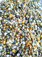 Colorful beach stones on the beach, Sea coastal rocks