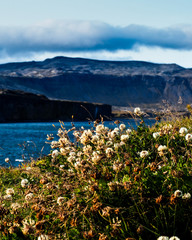 Arnarstapi, Snaefellsnes Peninsula, West Iceland