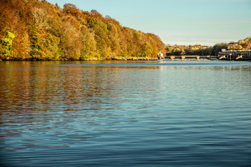 The Salmon Leap in Autumn, River Bann, Castleroe, Coleraine, County Londonderry, Northern Ireland