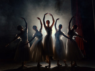 Ballerinas in dresses posing in darkness