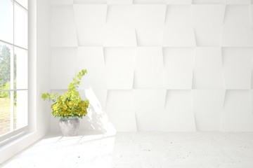 Empty room in white color with home plant. Scandinavian interior design. 3D illustration