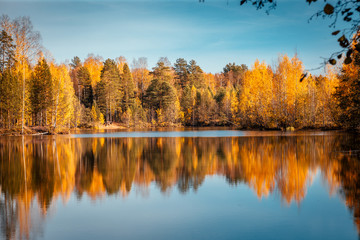 Красивый осенний лес отражается в зеркале пруда