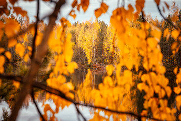 Красивый осенний лес отражается в зеркале пруда