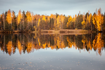 Красивый осенний лес отражается в зеркале пруда