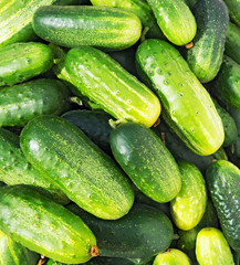 Cucumbers green background.
