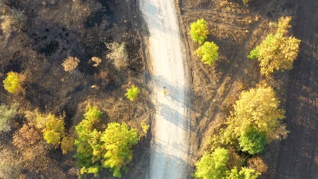 Aerial view of man in yellow raincoat is riding along rural road and scorched earth in autumn forest at sunset. Drone video of contryside landscape and bicyclerg
