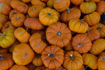 pumpkins for sale at farmers market