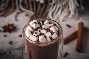 Hot cocoa with marshmallow and chocolate chips on a background of scattered cloves, chocolate, star anise and cinnamon, with a blanket in the background