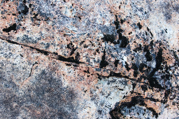 moss and stone